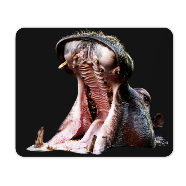 Mouse pad Yawning hippopotamus - mouse pad